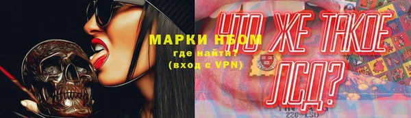 гидропоника Алзамай