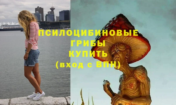 гидропоника Алзамай