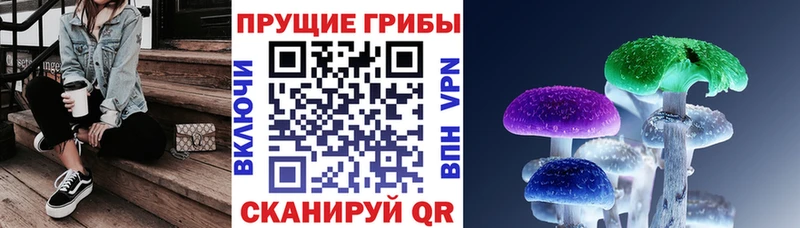 Галлюциногенные грибы Psilocybine cubensis  как найти   Артёмовский 